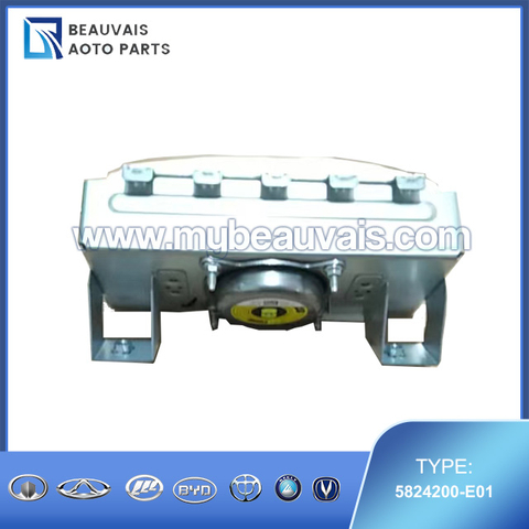 5824200-E01 Passenger airbag module SWM