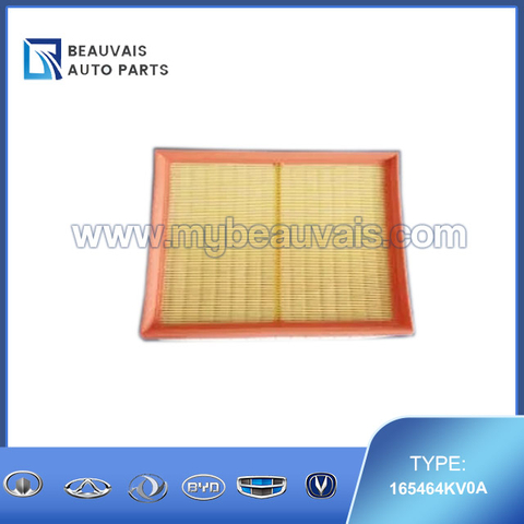 165464KV0A Air filter DF6