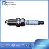 1016050983SPARK PLUG