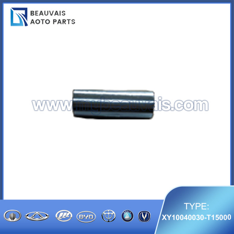 XY10040030-T15000 Piston pin SWM