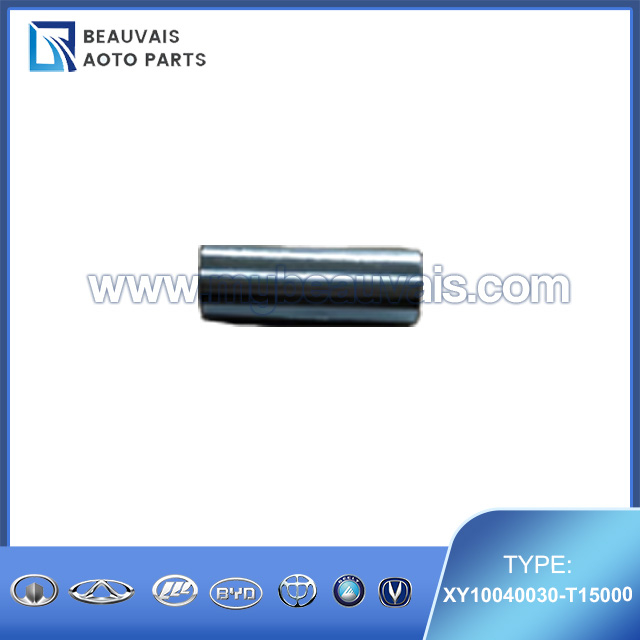XY10040030-T15000 Piston pin SWM