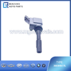 3603040C13L Ignition coil B70