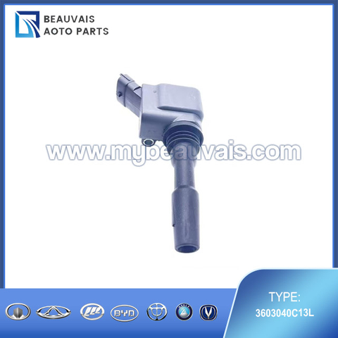 3603040C13L Ignition coil B70