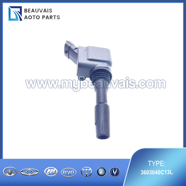 3603040C13L Ignition coil B70