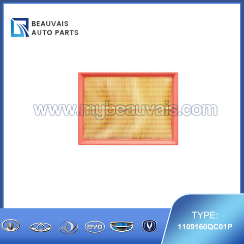 1109160QC01P Air filter H5