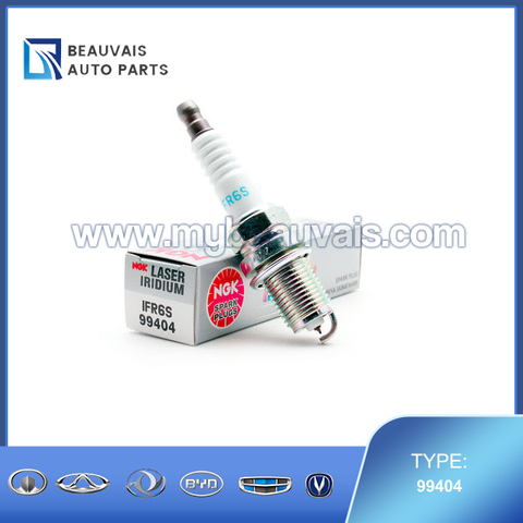 NGK 99404 spark plugs