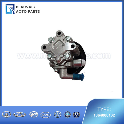 1064000132P/S PUMP ASSY