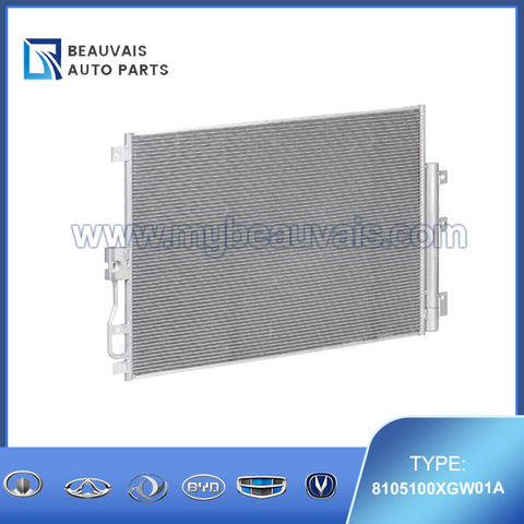 8105100XGW01A Condenser Jolion