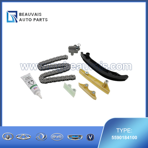INA Timing Chain Kit 5590184100