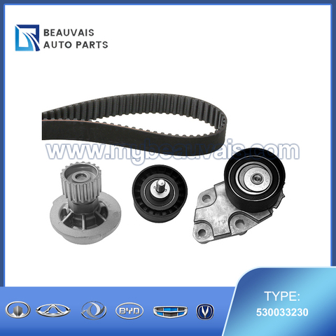 INA WaterPump&TimingBeltKit 530033230