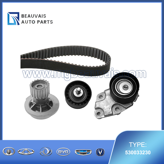 INA WaterPump&TimingBeltKit 530033230
