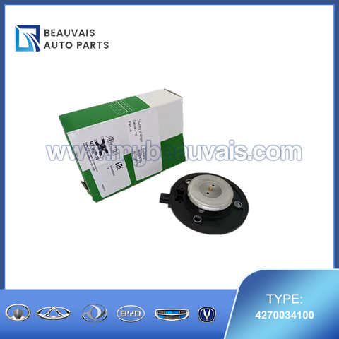 INA Central Magnet, camshaft adjustment 4270034100