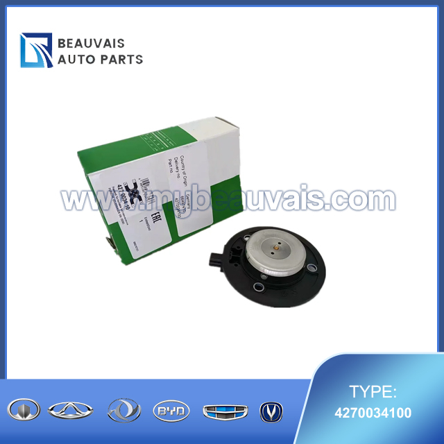INA Central Magnet, camshaft adjustment 4270034100