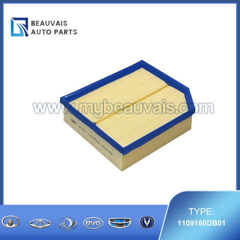 1109160DB01 Air filter H9