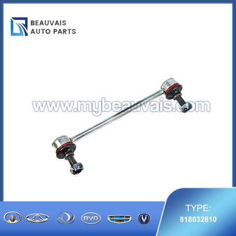 FAG 818032810 Anti-rollbarlink