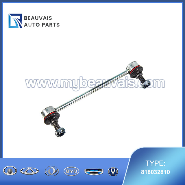 FAG 818032810 Anti-rollbarlink