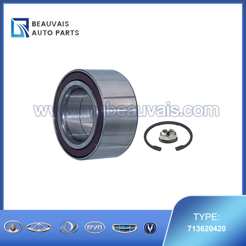 FAG 713620420 Wheel Bearing Kit