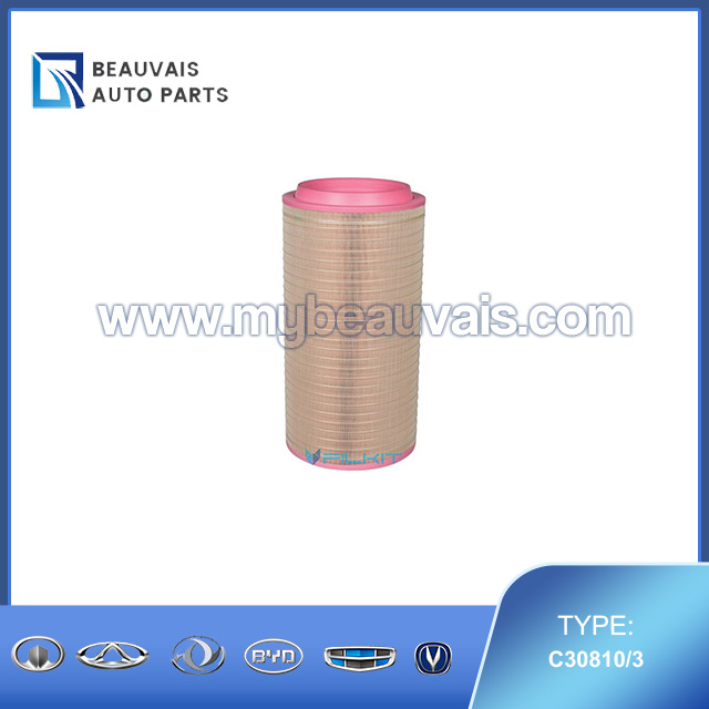 MANN C30810/3 Air Filter