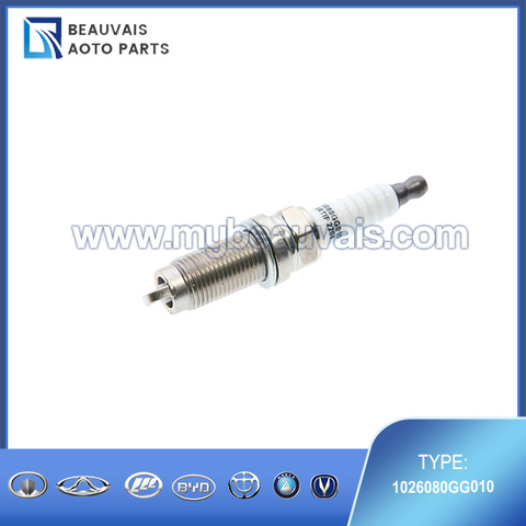 1026080GG010 Spark plug S3
