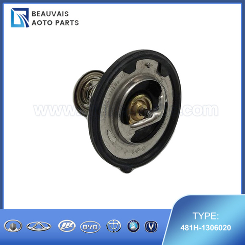 481H-1306020THERMOSTAT ASSY