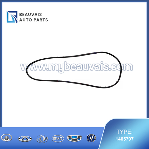 Right Rear Door Seal Strip