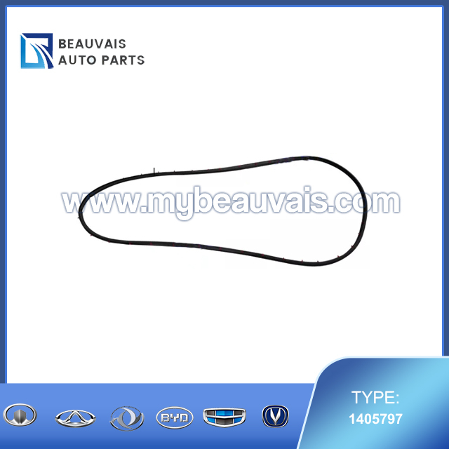 Right Rear Door Seal Strip