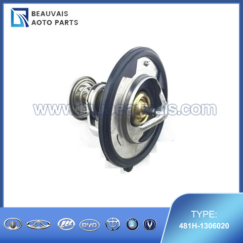 481H-1306020 THERMOSTAT ASSY