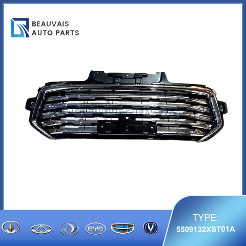 5509132XST01A Radiator grille Jolion