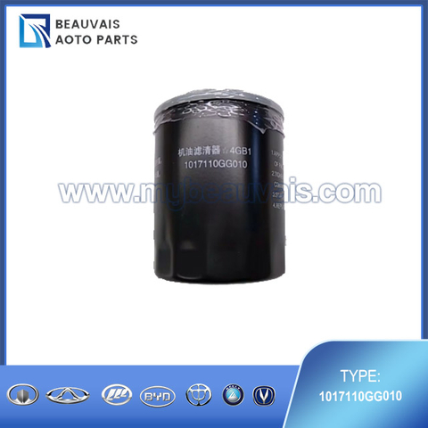 1017110GG010 Oil filter S3