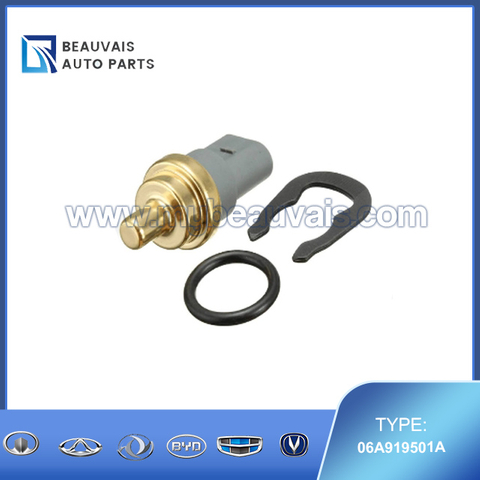 06A919501A Coolant temperature sensor A8(D4)