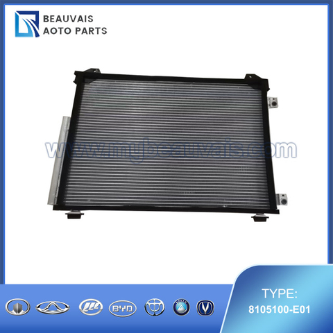 8105100-E01 Condenser SWM