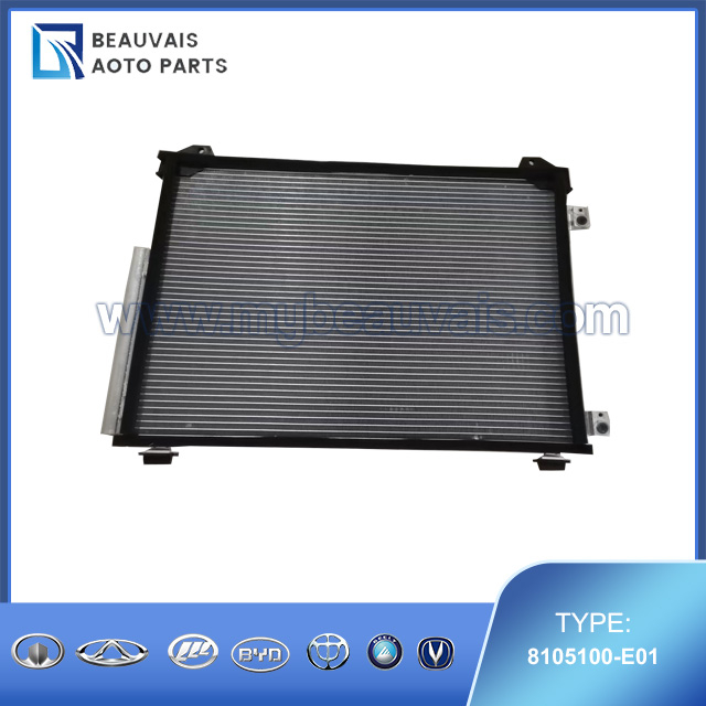 8105100-E01 Condenser SWM