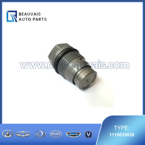BOSCH Fuel Rail Pressure Relief Valve 1110010028
