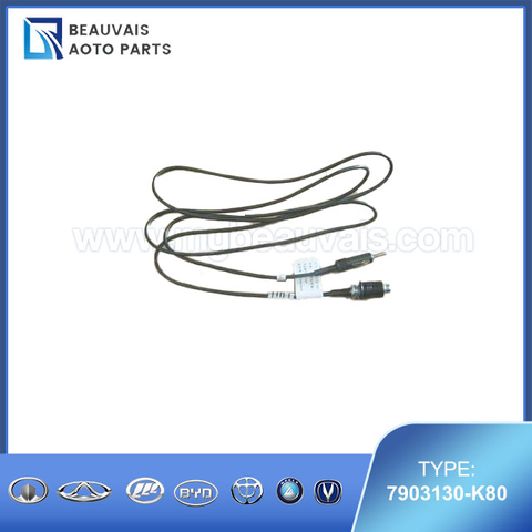 7903130-K80SIGNAL WIRE-ANTENNA 2