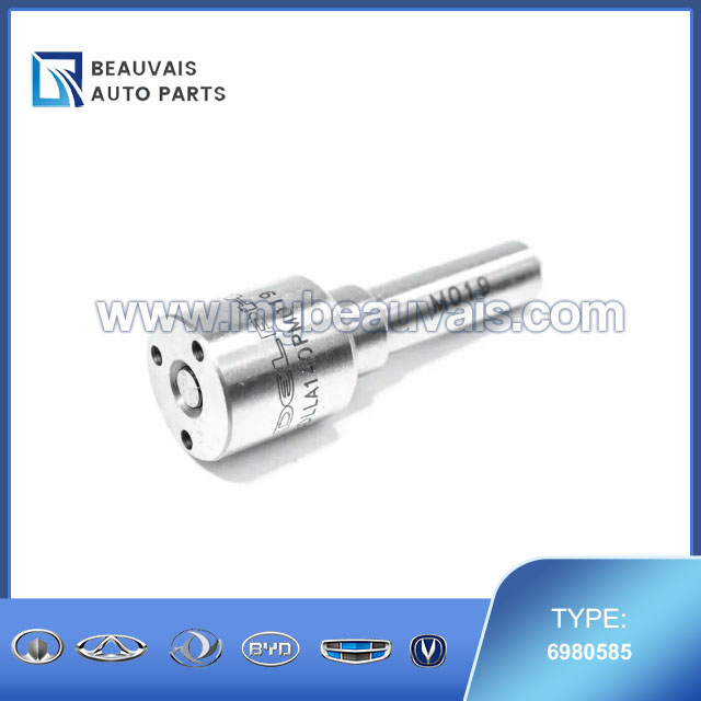 DELPHI 6980585 Injector nozzles