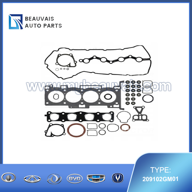 209102GM01 Engine repair kit IX35