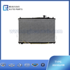 253103J100 Radiator assembly IX55