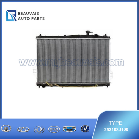 253103J100 Radiator assembly IX55