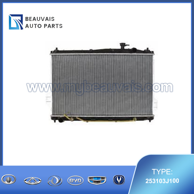 253103J100 Radiator assembly IX55