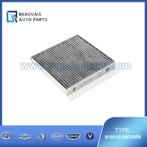 8100103XKV08B Cabin filter H9