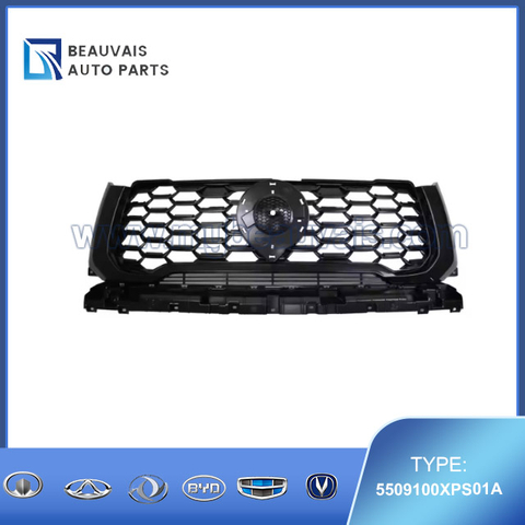 5509100XPS01A Radiator grille KingKong POER