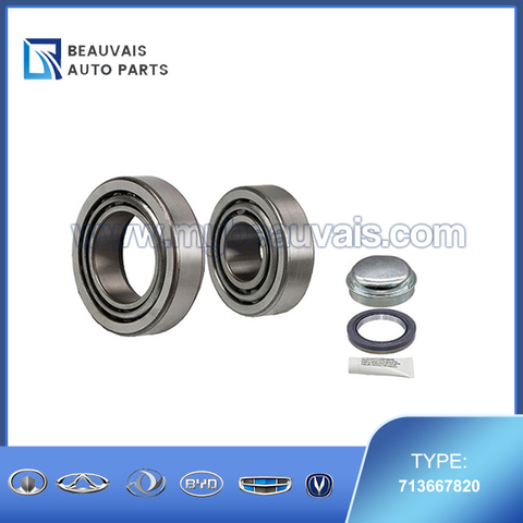 FAG 713667820 Wheel Bearing Kit