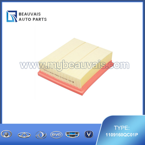 1109160QC01P Air filter H5