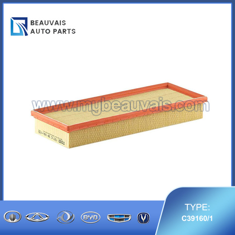 MANN C39160/1 Air Filter