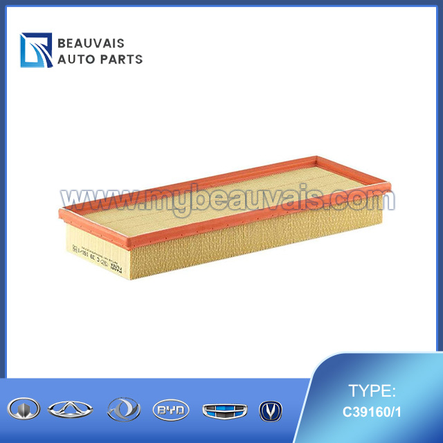 MANN C39160/1 Air Filter