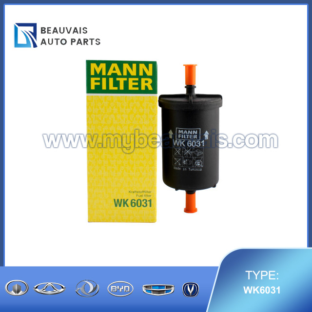 MANN WK6031 Fuel Filter