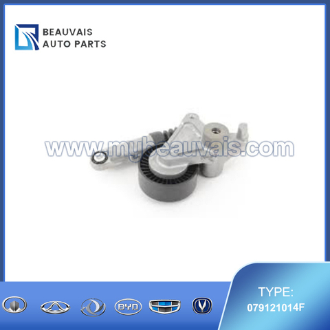 059145201F Tensioner Q5