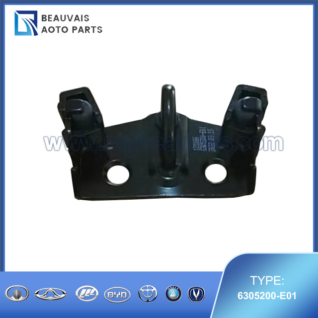 6305200-E01 Back door lock assembly SWM