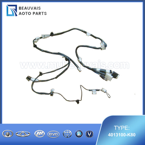 4013100-K80HARN ASSY-TAIL DOOR