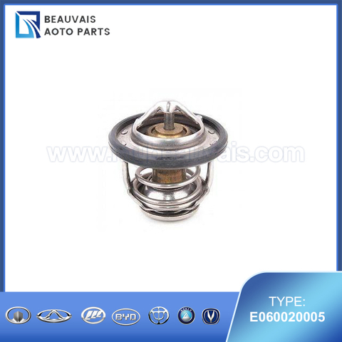 E060020005THERMOSTAT